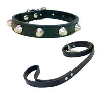 Newtensina Punk Cone Rivet Pet Collar with Soft Leash for Small Medium Dogs