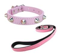 Newtensina Punk Cone Rivet Puppy Collar and soft Handle Leash for Small Medium Dogs