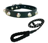 Newtensina Punk Cone Rivet Puppy Collar with Soft Handle Leash for Small Medium Dogs