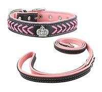Newtensina Stylish Dog Collar and Lead Set Nylon Straps Woven Bling Collar Leather Diamante Puppy Collar with Contrast Color Leash for Dogs
