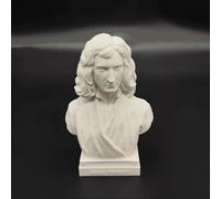 Newton Statue Scientist Einstein Bust Statue 3D Printing Galileo Figure Madame Curie Sculpture Tesla for Living Room Home Desk Decor, Tesla Collection Figurine Hawking Bust (Isaac Newton)