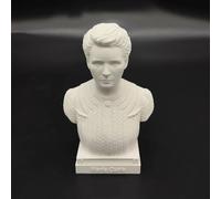 Newton Statue Scientist Einstein Bust Statue 3D Printing Galileo Figure Madame Curie Sculpture Tesla for Living Room Home Desk Decor, Tesla Collection Figurine Hawking Bust (Marie Curie)