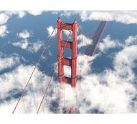 Newton's Gravity Unifies Earth and Sky