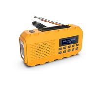 NEWTRO Multifunctional crank radio DAB+/DAB/FM - multifunctional digital radio with torch, reading light, solar panel, power bank, crank, SOS alarm