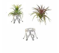 Newwe Pack of 3 Silver Air Plant Holder Cute Crystal Tillandsia Display Container Home Decors Office Desktop Marble Egg Sphere Stand