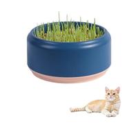 Nexoria Cat Grass Planter Box, Cat Grass Hydroponics Planter Plastic Cat Grass Seed Sprouter Soil Free Cat Plant Planting Box Cat Plant for Indoor or Outdoor Cat (Without Weeds) (Blue)