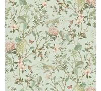 Next Sage Reflection Wallpaper
