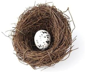 NexusPulse Birds Nest Easter Rattan Nest Decorating, Artificial Natural Bird Nest Kit for Easter Crafts Home Garden Decor Wedding Party Decor Easter Decor
