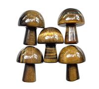 Neyisaa 5Pcs Mini Mushroom Shaped Gemstone Statue Figurine, Carved Crystal Stone Mushrooms Crafts for Healing Chakra Reiki Balancing Home Decoration, Tiger's Eye Stone