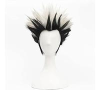 NEZIH Anime Wig for Haikyuu Kotaro Bokuto Cosplay Wig, Black And White Short Wig, Synthetic Hair,Halloween Wig, for Party, Anime Show, Cosplay Event, Concerts, with Wig Cap, Decorative Gift