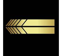 NFAHBAQA 1 Pair Rear View Mirror Strips for Alfa Romeo Giulia 2017 2018 2019 2020 2021 2022 2023 2024 2025, Waterproof Stickers Decor Body Sticker, Tuning DIY Exterior Accessories,Gold