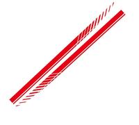 NFAHBAQA 2 Pcs Car Door Side Stripe Skirt Sticker for RS3 RS4 RS5 RS6 RS7 RS8 RSQ3 RSQ8, DIY Modified Stripe Decal, Waterproof Sticker Car Side Decoration, Decoration,Red