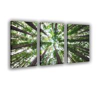 NFDVFHFRQ Photograph of A Tall Tree Canvas Poster Wall Art Decor Print Picture Paintings for Living Room Bedroom Decoration 16x24inch(40x60cm)