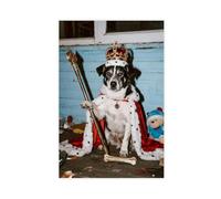 NFDVFHFRQ The Stray Dog Wearing A Crown (2) Canvas Poster Bedroom Decor Landscape Office Room Decor Gift 16x24inch(40x60cm)