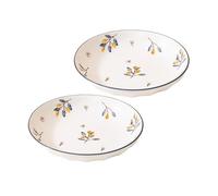 Nff Dinner Plate Set of 2, 8 Inch Blue Edged Printed Serving Plate Set for Pasta, Salad, Desserts, Dishwasher Safe