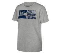 NFL Boys Postgame Tee Short Sleeve T-Shirt, Grey, 9-11 Years EU