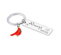 Nfyxcaz Cardinal Keychain Cardinal Gifts Bereavement Gifts for Loss Of Father Mother Daughter Son Memorial Gift Bereavement Condolences Gift for Loss Sympathy Gifts