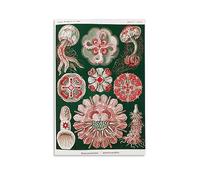 NGANOH Disc Jellyfish by Ernst Haeckel Canvas Printed Poster Canvas Wall Art Picture Prints Hanging Photo Gift Idea Decor Homes Artworks 20x30inch(50x75cm)