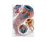 NGANOH Vintage Jelly Fish by Ernst Haeckel Canvas Printed Poster Canvas Wall Art Prints Gifts Photo Picture Paintings Room Decor Home Decorative 08x12inch(20x30cm)