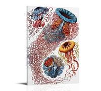 NgAnoh Vintage Jelly Fish by Ernst Haeckel Canvas Printed Poster Painting On Canvas Wall Art Scroll Picture Print Living Room Walls Decor Homes 12x18inch(30x45cm)
