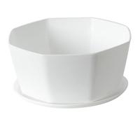 Ngbbby 8" Succulent Pots, Ceramic Succulent Planter Pots with Drainage Hole, Shallow Plant Pot, Flower Pot for Indoor Plants Round Shallow Bonsai with Bamboo Tray, White, bonsai