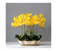NGDFGR Artificial Flowers Extra Large Orchids Potted - Simulation Orchids Plants Bonsai, Realistic Phalaenopsis Bouquets With Ceramics Pot, For Office/Parlor/Kitchen Decoration/