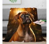 NGGADIWEG 3D Printed Boxer puppy Nap Blanket Microfiber Ultra Soft Warm Bedding Digital art Bedding Throw Anti Static Fade Resistant for Adults Couples Households 40x50inch(100x130cm)