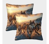 NGGADIWEG Alaskan Malamute Dog 3D Printed Pillow Covers Home Decorative Personalise Square Throw Pillowcase Set of 2 for Couch Sofa Bedroom Outdoor Home Decor 40x40cm