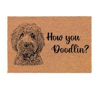 NGHFJTF Doormat Front Door Mat New Home Gift How You Doodlin Goldendoodle Funny Doodle Dog 16x24 Inch