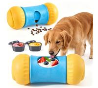 Ngiftey Chew-Resistant Nylon Dog Puzzle Toy - 2-in-1 Frozen Treat & Kibble Dispenser, Durable Slow Feeder for Aggressive Chewers, Reduces Anxiety & Destructive Chewing