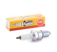 NGK 3172 Spark plug