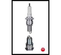 NGK 6248 Spark plug M14 x 1,25 SW: 20,8 mm VOLKSWAGEN: Polo II Coupe, Polo II Hatchback, AUDI: 100 C3 Saloon, Quattro, Coupe B3, ALFA ROMEO: 155