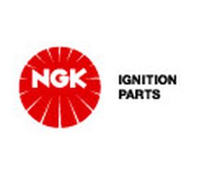 NGK 91389 Lambda Sensor for BMW