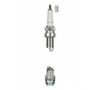 NGK Standard Spark Plug BCPR6E
