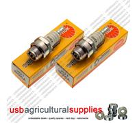 NGK BM6A CJ8 SPARK PLUG x2 NEW PLUGS - NEXT DAY DELIVERY CHAMPION