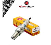 Ngk Candle Dpr8ea-9 Triumph Speed Triple 955 I 1999 2000 2001