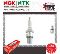NGK RACING SPARK PLUG SPARKPLUG B8EGP B8EG-P No. 2046