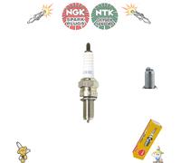 NGK Spark Plug - CR8E - fits Yamaha - YFM700R Raptor 06, YFM30GB Grizzly 12 x1