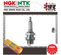 NGK SPARK PLUG For MARINE ENGINE GRAYMARINE Express Six 71