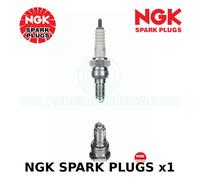 1x NGK CR8EH-9 5666 OEM NICKEL SPARK PLUG HONDA CBF1000 Incl. ABS 1000 01/06 >