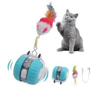 NGOKPYD Interactive Cat Toy, Automatic Moving Cat Toy Ball with Feather, Red Dot Chase & Chirping Design, Rechargeable Interactive Toys for Cats Indoor Carpet (Blue)