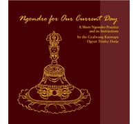 Ngondro for Our Current Day: A Short Ngondro Practice and Its Instructions