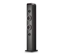 NGS Sky Charm Pro 50W Bluetooth 5.4 Optical USB AUX-IN FM Radio Broadcasting Karaoke Microphone Input Remote Control Black