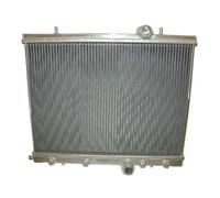 NGYBSFHxsr 2 rows Radiator Aluminum Radiator, Compatible For PEUGEOT 206 GTI180 RC S16 2.0L EW10J4S 16v I4 1999-2008 Manual(Radiator Only)