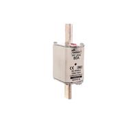NH1 Insert 80A 500V gL/gG Dual Display 80NHG1B