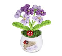 Nhemeylp Crochet Flowers Small Potted Plants Fake Forget Me Not Flowers for Friends Family Lover Crochet Flower Bouquet Artifical Handmade Knitted Plants Desk Decor for Office Home (Purple)