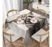 NHGFVT Funny Highland Cow Print Square Decorative Tablecloth,Washable Water Resistance Microfiber Tablecloth Decorative Fabric Table Cover For Picnic Banquet Party Kitchen Dining Room