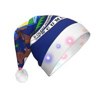 NHGJnk Michigan State Flag Print Adult Plush Led Christmas Hat, Lighted Santa Cap With Soft Trim For Christmas Celebration