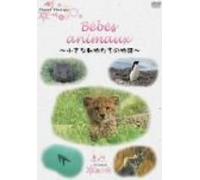 NHK DVD Bebes d’animaux-小さな動物たちの物語-