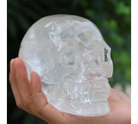 NHKSFBLQ Transparent White Skull Hand-Carved with Quartz Crystal Home Decor(550-650)